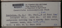 Image Associated With the Occurence